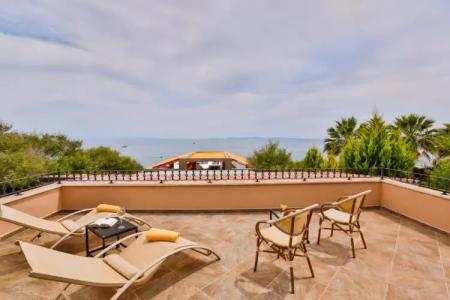 Palace Olive Odore - 39