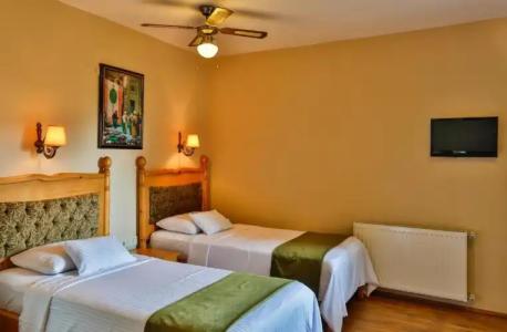 Palace Olive Odore - 31