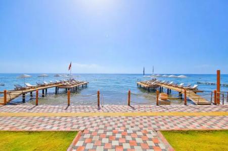 Palace Olive Odore - 11