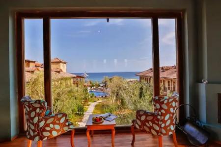 Palace Olive Odore - 53