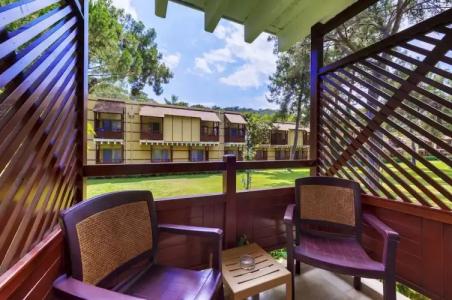 ROBINSON CAMYUVA - Adults only - 134