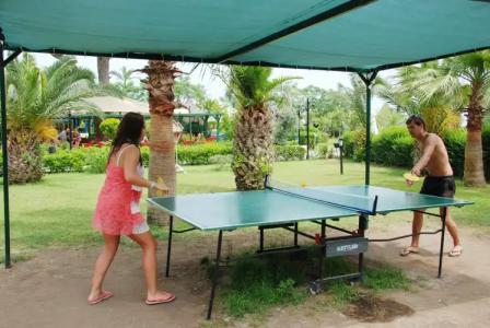 Pine House by Werdes - 17