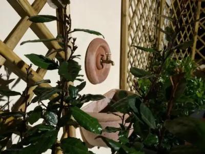 Il Giardino Segreto - 26