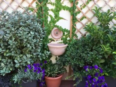Il Giardino Segreto - 27