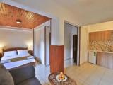 Standard Double room with garden view