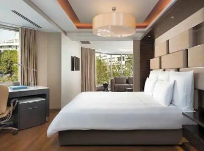 Swissotel the Bosphorus Istanbul - 255