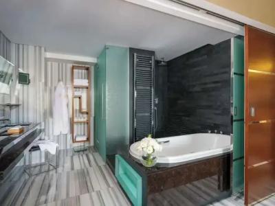 Swissotel the Bosphorus Istanbul - 260