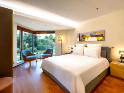 Swissotel the Bosphorus Istanbul - 186