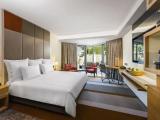 Swiss Executive room with garden view