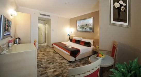 SV Bussiness Taksim - 86