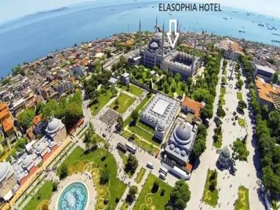 Elasophia - 18