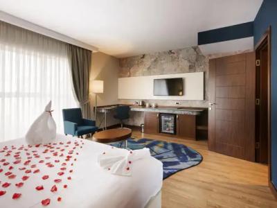 Mercure Istanbul Bakirkoy - 110