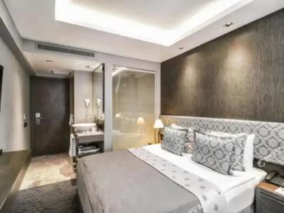 Grand Beyazit - 102
