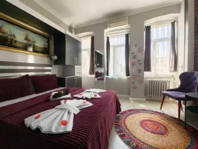 Taksim Hostel Green House Istanbul - 7
