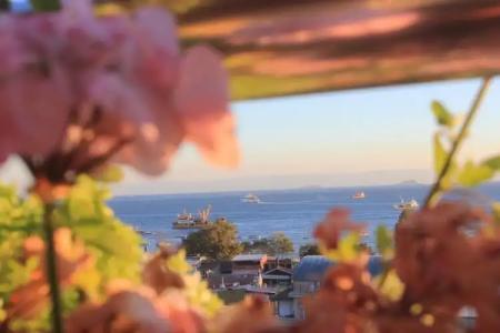 Sayeban Istanbul - 14