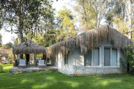 Golden Key Bordubet - 97