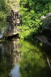 Golden Key Bordubet - 46