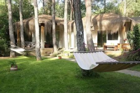 Golden Key Bordubet - 100