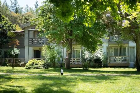 Golden Key Bordubet - 44