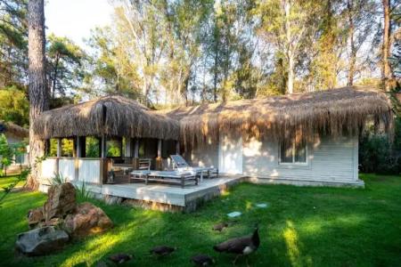 Golden Key Bordubet - 122