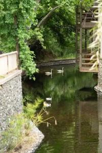 Golden Key Bordubet - 41