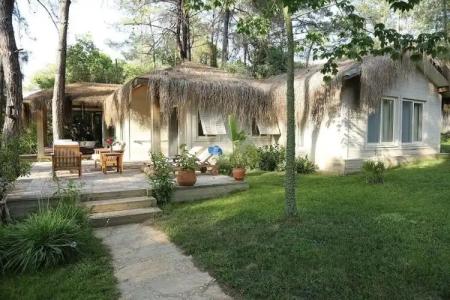 Golden Key Bordubet - 106