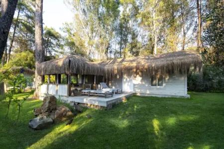 Golden Key Bordubet - 101