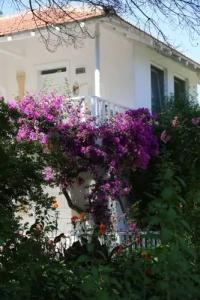 Golden Key Hisaronu - 0