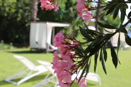 Golden Key Hisaronu - 88