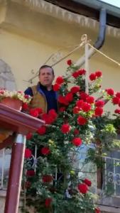 Anatolia cave Pension - 18