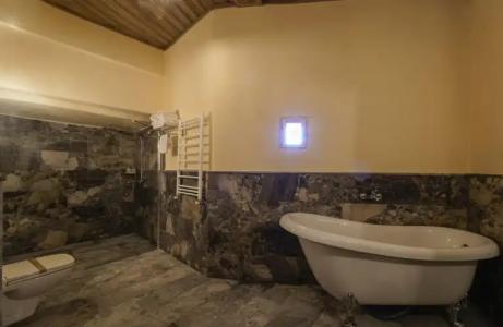 Henna-Adults Only - 260