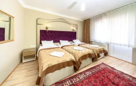 Ottoman Palace Edirne - 3