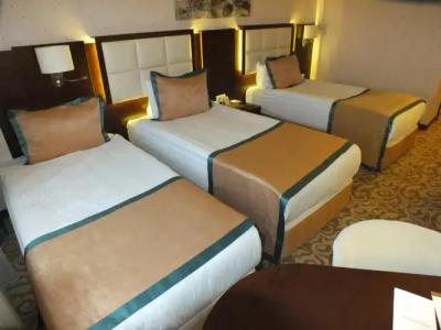 Asrin Park & Spa Convention Center - 2