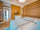 Lemon Family Suite