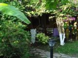 1 Bedroom Standard Family room with garden view