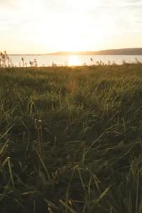 Kolin Spa & Convention Center - 26