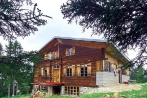 Demircioglu Pokut Dag Evi, Camlihemsin