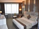 Standard room with mountain view