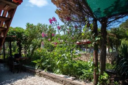 Aral Tatil Ciftligi - 35