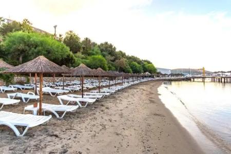 Forever Club - Adult Only - 12