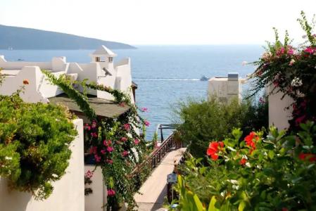 Forever Club - Adult Only - 15