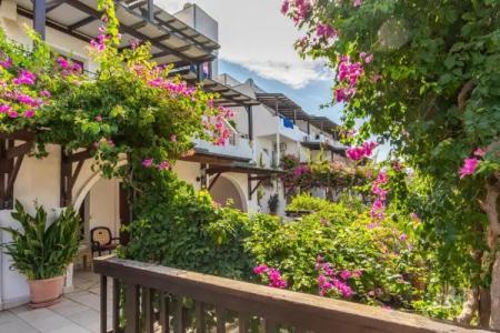 Forever Club - Adult Only - 24