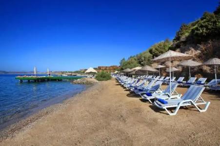 Forever Club - Adult Only - 13