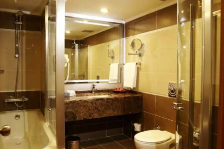 Bilkent and Conference Center - 9