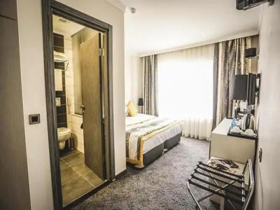 Koza Suite - 17
