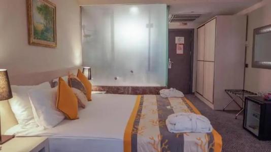 Koza Suite - 22