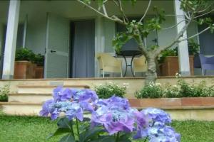 Giacaranda B&B, Castellabate