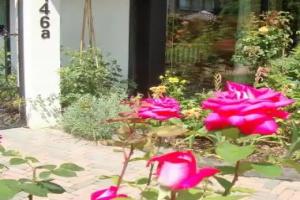 Vivere Ad Parcum - Bed And Breakfast Mini-hotel, Krefeld