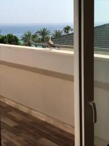 La Gaia - Adult Only - 51