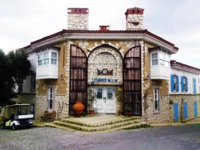 Imren Han - Special Category - 78